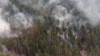 Якутия охвачена лесными пожарами